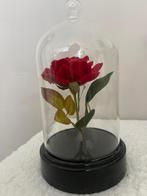 Disney Primark Enchanted Rose in stolp, Ophalen of Verzenden, Zo goed als nieuw