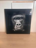 Glazen schilderij met  gorilla, Antiek en Kunst, Ophalen