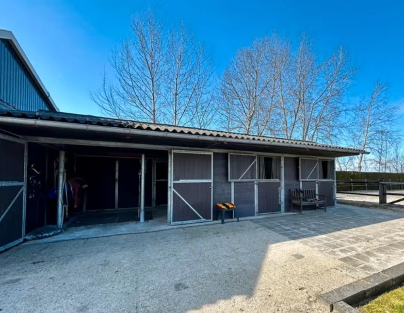 Pensionstalling beschikbaar (tijdelijk), Dieren en Toebehoren, Stalling en Weidegang, Weidegang, 2 of 3 paarden of pony's