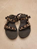 Teva dames sandalen maat 42 - klaar voor een tweede ronde, Ophalen of Verzenden