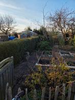 Gratis snoeiafval coniferen - ideaal voor versnipperen, Ophalen of Verzenden, Gebruikt