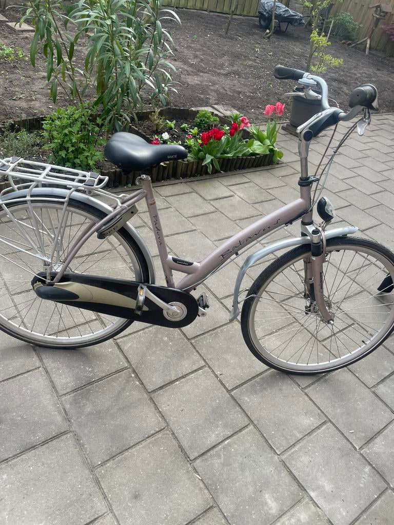 Batavus Padova, Ophalen of Verzenden, Zo goed als nieuw, Batavus