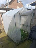 Kweektent  te koop, Ophalen of Verzenden