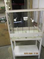 voliere        hout, Ophalen, Zo goed als nieuw, Hout, Vogelkooi
