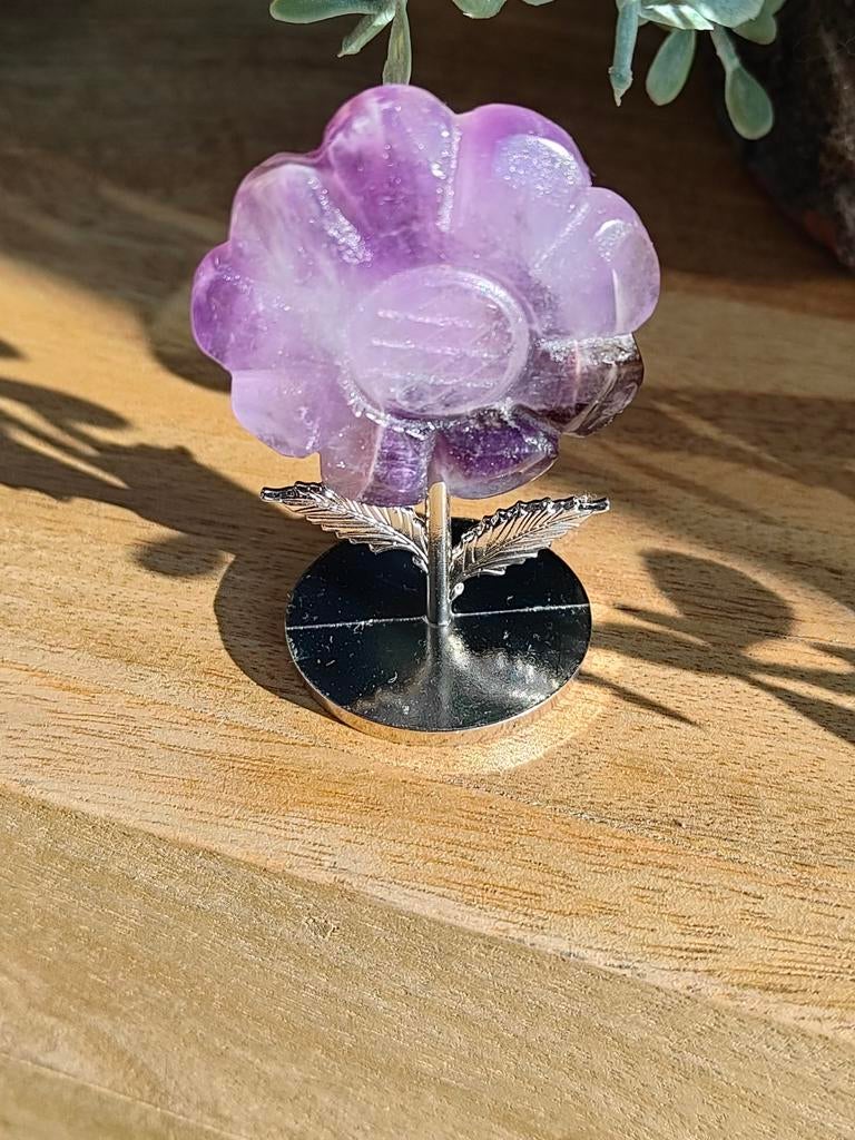 Amethist bloem, Ophalen of Verzenden