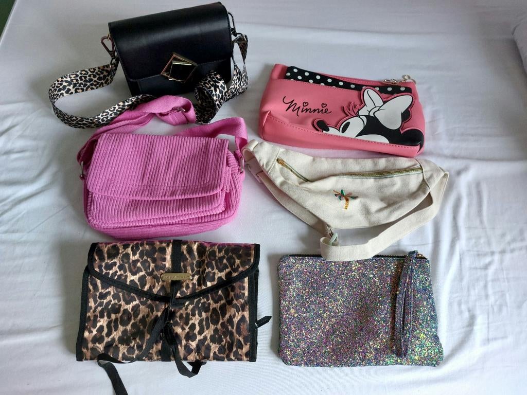 Kleine tassen diverse, Ophalen of Verzenden, Zo goed als nieuw, Overige kleuren, Schoudertasje