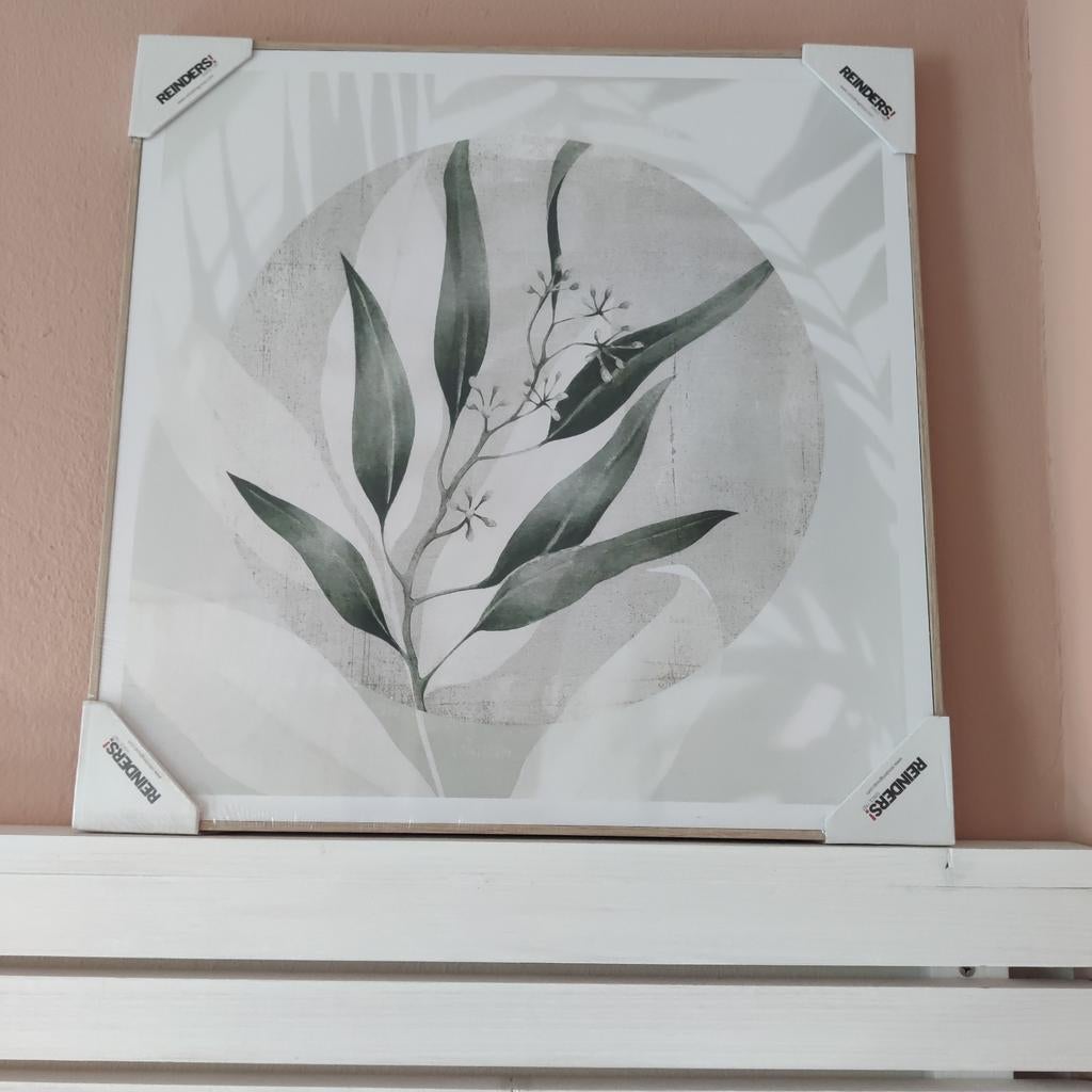 Nieuw Reinders Schilderij 50x50 cm - Botanisch Groen, Ophalen of Verzenden
