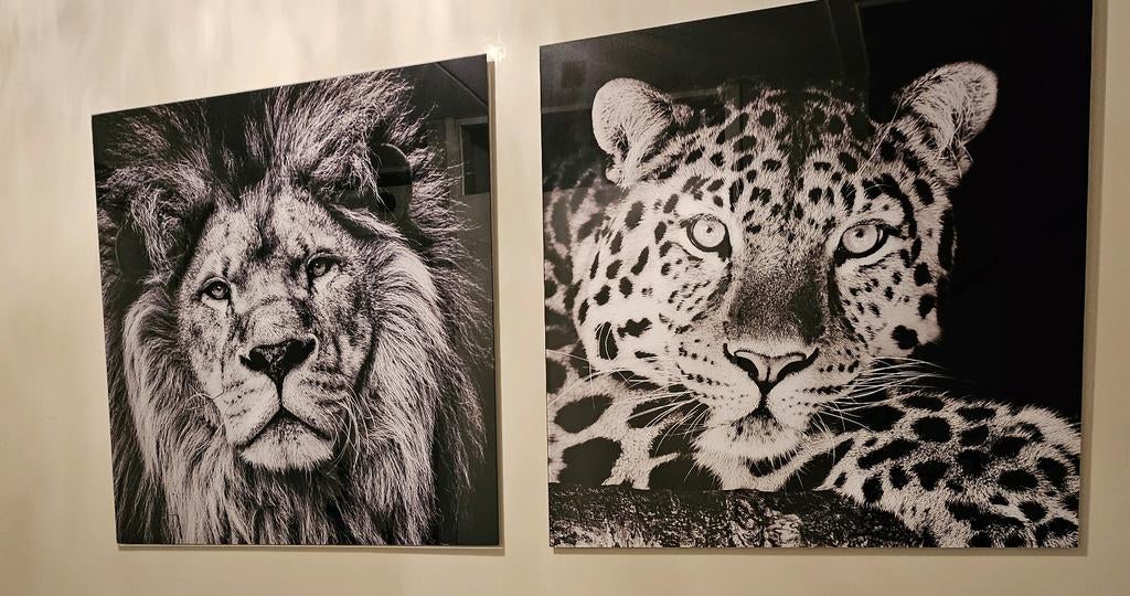 2 Plexiglas schilderijen, Ophalen of Verzenden