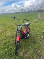 Tomos A35 brommer, Ophalen, Gebruikt, 2 versnellingen, 50 cc