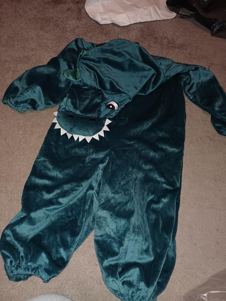 Dino kostuum onesie, Ophalen of Verzenden, Nieuw, 104 of kleiner, Jongen of Meisje