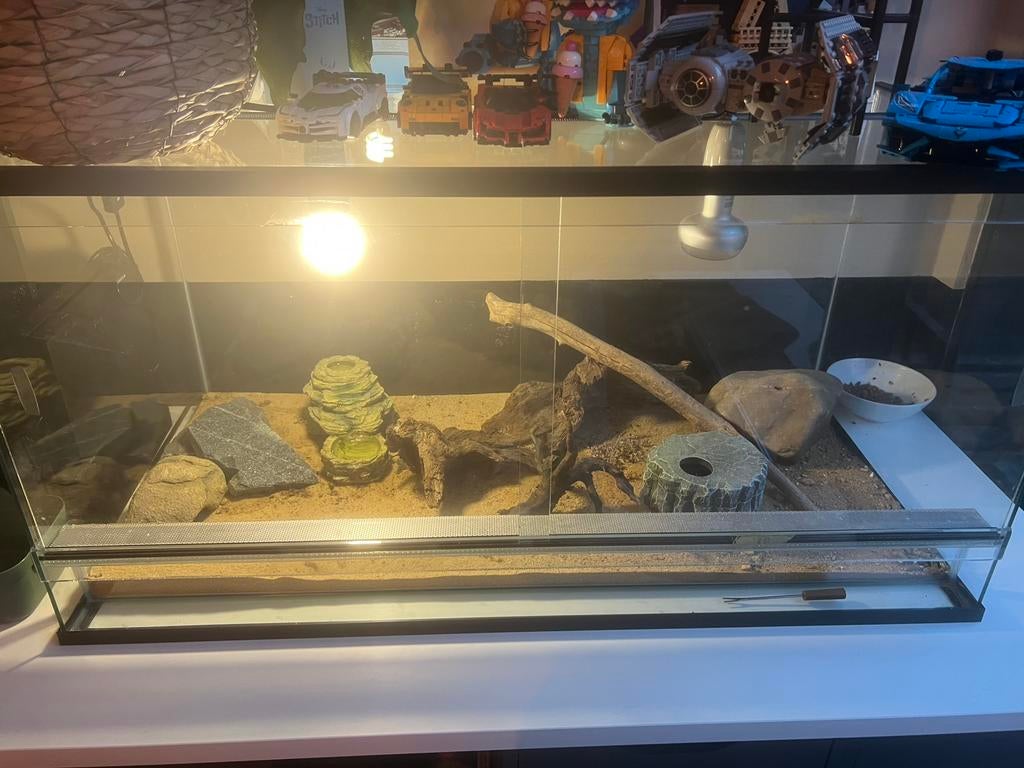 Luipaard Gekko + terarium en inhoud!!, Dieren en Toebehoren, Reptielen en Amfibieën | Toebehoren, Ophalen, Zo goed als nieuw