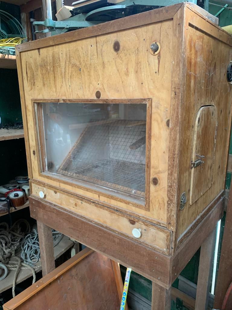 Ziekenboeg, Vrouwelijk, Kip