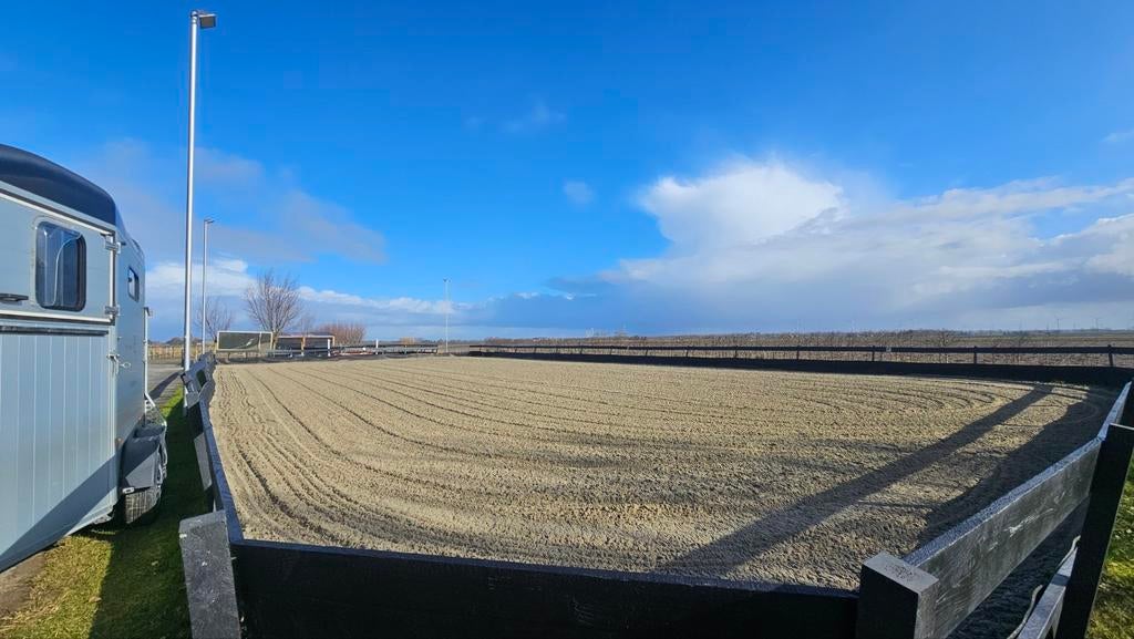 Paddock paradise met eb- en vloedrijbak voor de juiste match, Dieren en Toebehoren, Stalling en Weidegang, Weidegang