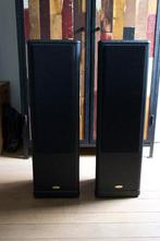 Tannoy D80 vloerstaande luidsprekers., Zo goed als nieuw, 120 watt of meer, Front, Rear of Stereo speakers, Ophalen