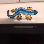 Magneethagadis/ salamander zgan, Ophalen of Verzenden