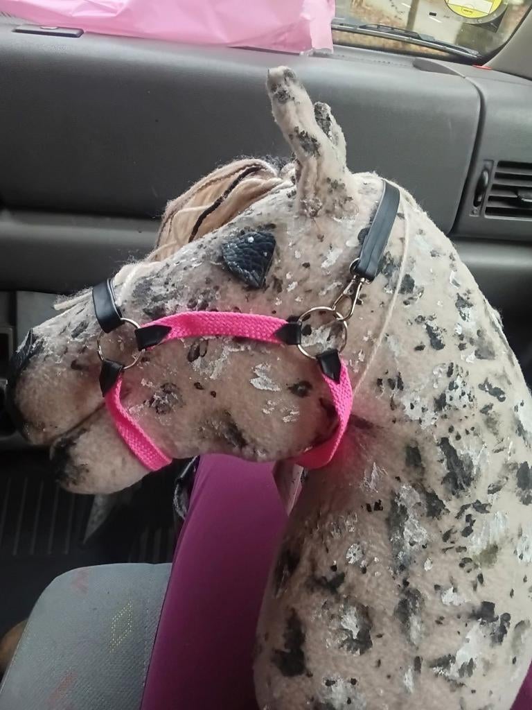 HOBBY HORSE LES !, Hobby en Vrije tijd, Overige Hobby en Vrije tijd, Ophalen