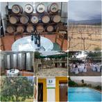 Unieke investerings kans, finca voor agrotoerisme, retraires, Huizen en Kamers, Spanje