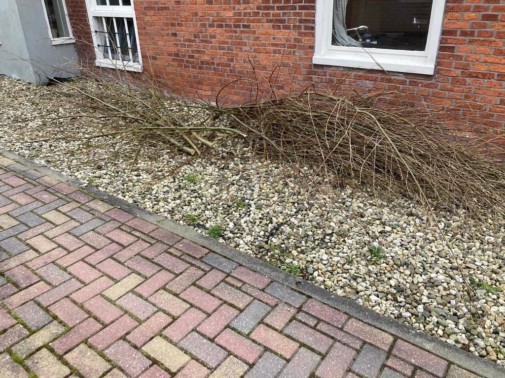 Gratis wilgentakken af te halen, Ophalen, Gebruikt