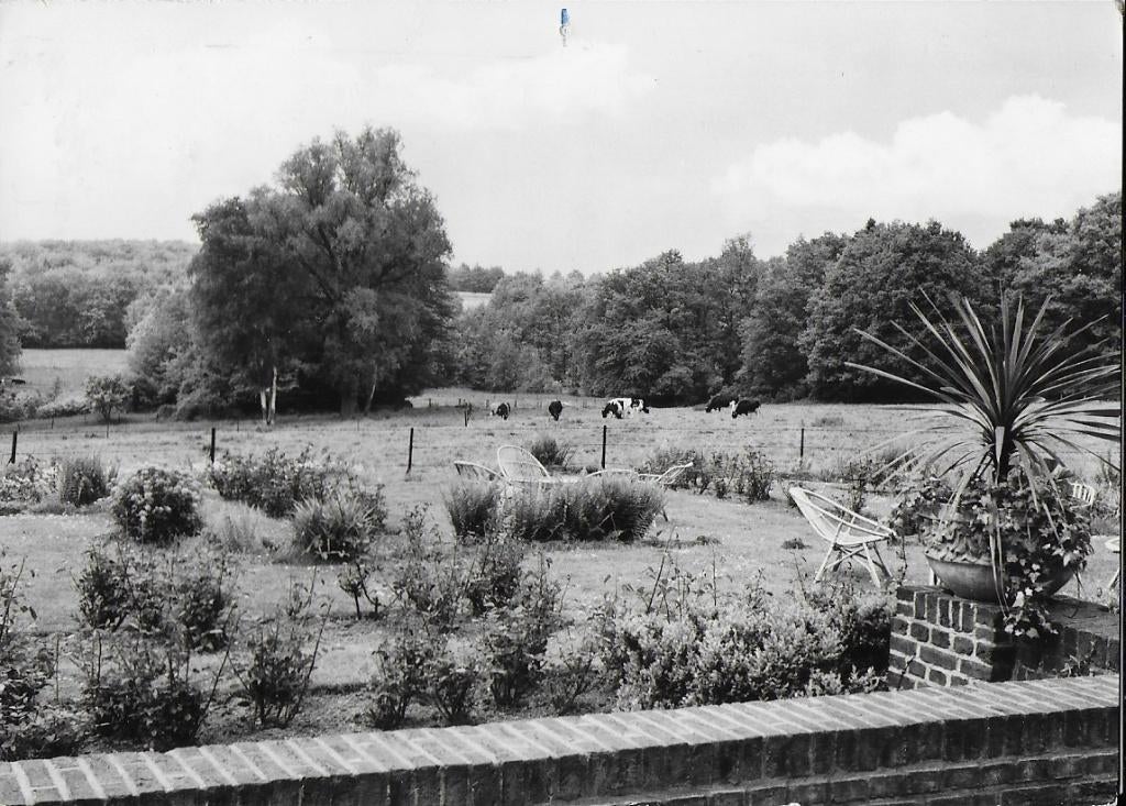 De Lutte bij Oldenzaal Vakantie Oord Ansichtkaart ( 7664), Ophalen of Verzenden, 1940 tot 1960, Gelopen, Gelderland