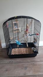 Engelse grasparkiet, Dieren en Toebehoren, Ophalen, Metaal, Vogelkooi