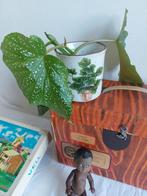 Vintage planter kruidenpot spikkels bloempot verse kruiden, Ophalen, Rond, Balkon, Aardewerk