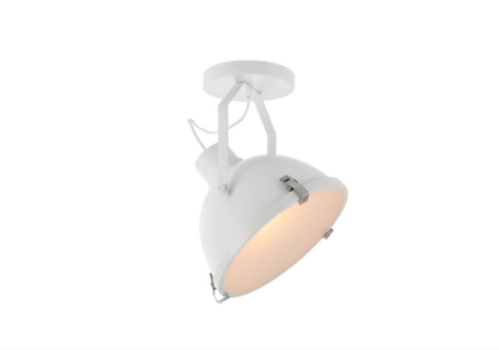 Karwei Plafondlamp Magnus, Ophalen, Gebruikt, Metaal, Modern, Industrieel