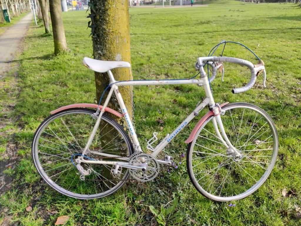 Batavus Champion Racefiets schuurvondst opknapper, Fietsen en Brommers, Fietsen | Racefietsen, Ophalen, Gebruikt, Batavus, 10 tot 15 versnellingen