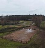 Uniek paarden/pony pension op landgoed Westerhout Beverwijk, Weidegang