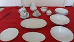 gloednieuw 22 delige servies voor 15 euro, Ophalen, Nieuw, Bord(en), Overige stijlen