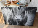 Canvas Schotse hooglander 120*80, Ophalen, Zo goed als nieuw, Schilderij, 75 cm of meer