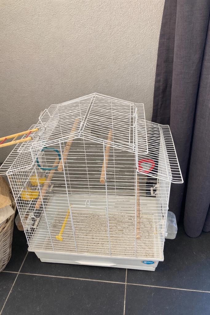 Vogelkooi, Dieren en Toebehoren, Vogels | Hokken en Kooien, Ophalen, Gebruikt, Metaal, Vogelkooi