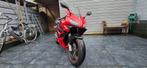 Honda CBR 600RR 2003 - Sportieve Supersport Motor, 4 cilinders, Motorrijbewijs A, 660 cc, Super Sport