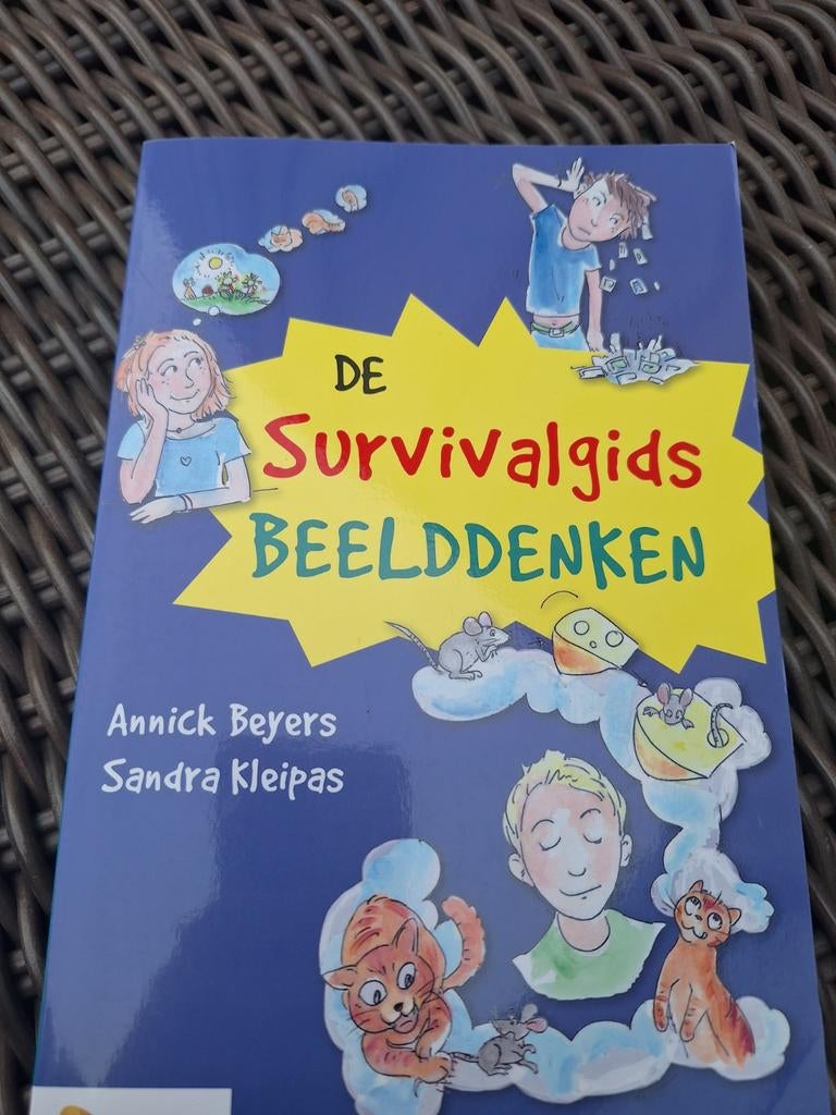 De Survivalgids Beelddenken, Ophalen of Verzenden, Zo goed als nieuw, Annick Beyers, Sandra Kleipas, Non-fictie