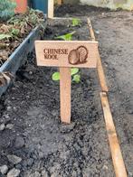 Moestuinbordjes, Ophalen of Verzenden, Nieuw