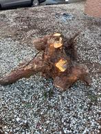 Grote boomstronk met wortels, Minder dan 3 m³, Ophalen of Verzenden, Overige houtsoorten, Stammen