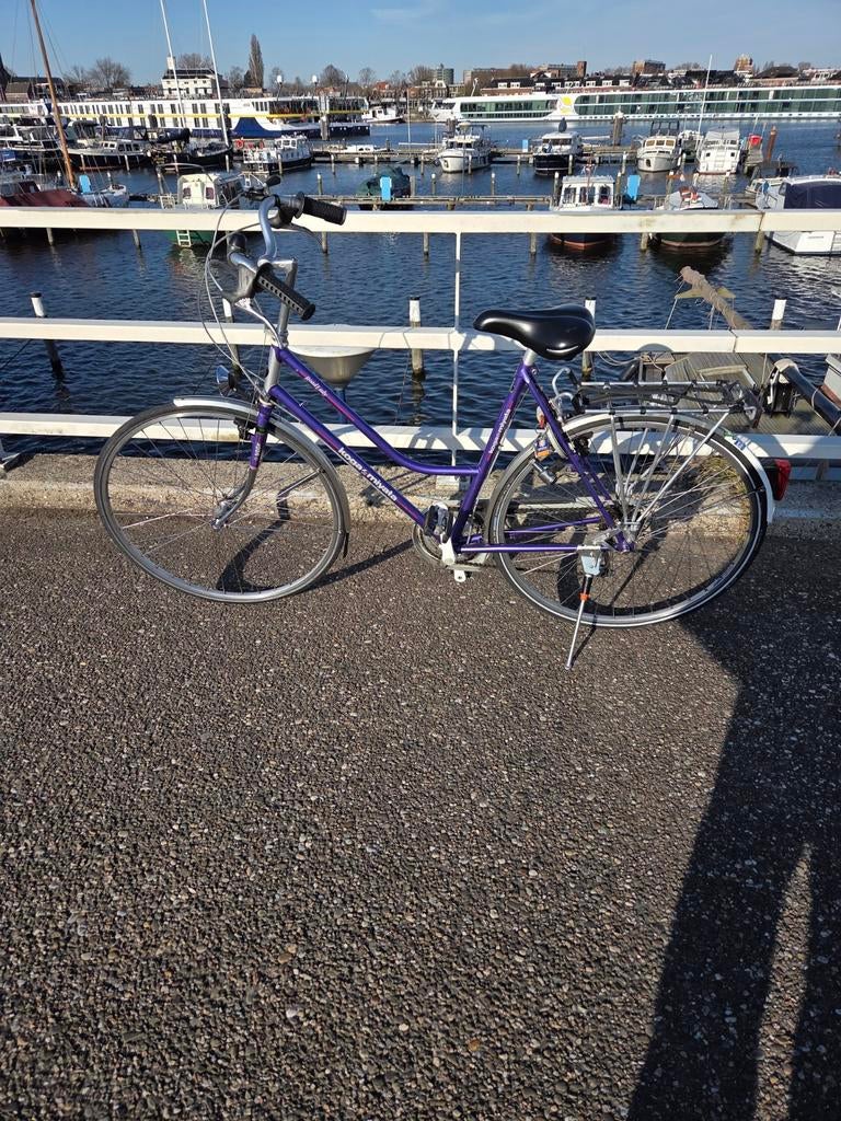 Koga Miyata RoadLady - Bijna Nieuwstaat - Frame 56, Ophalen, Minder dan 10 versnellingen, 53 tot 56 cm, Zo goed als nieuw