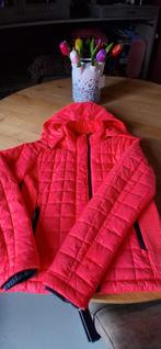 Superdry jas., Ophalen of Verzenden, Zo goed als nieuw, Maat 38/40 (M), Jack