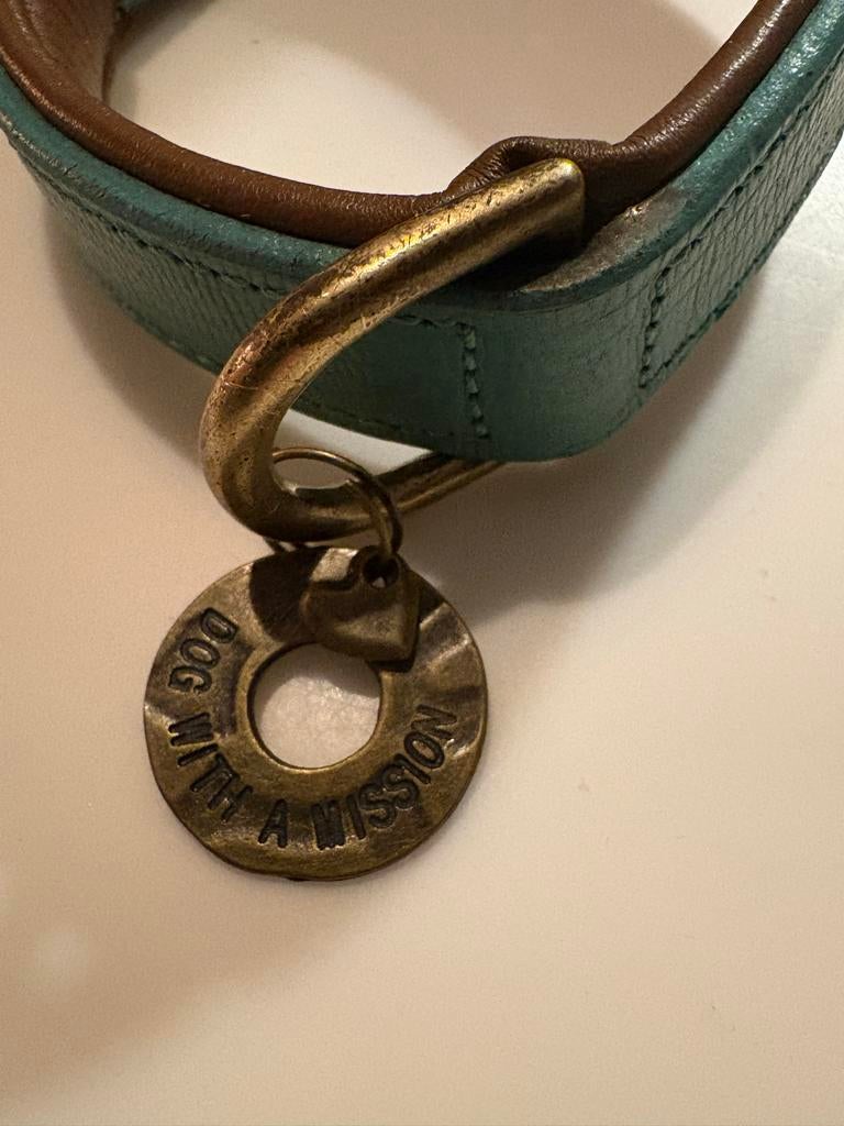 Groene hondenhalsband (S)van met DWAM ( DigsWithAMision), Dieren en Toebehoren, Ophalen of Verzenden