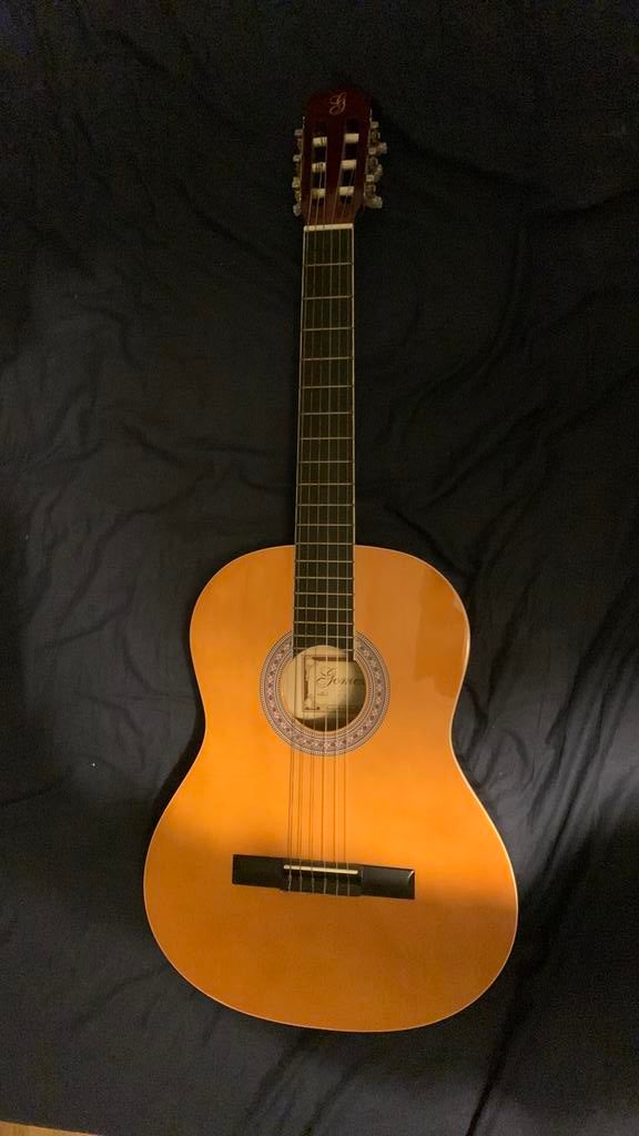 Akoestische gitaar, Ophalen of Verzenden