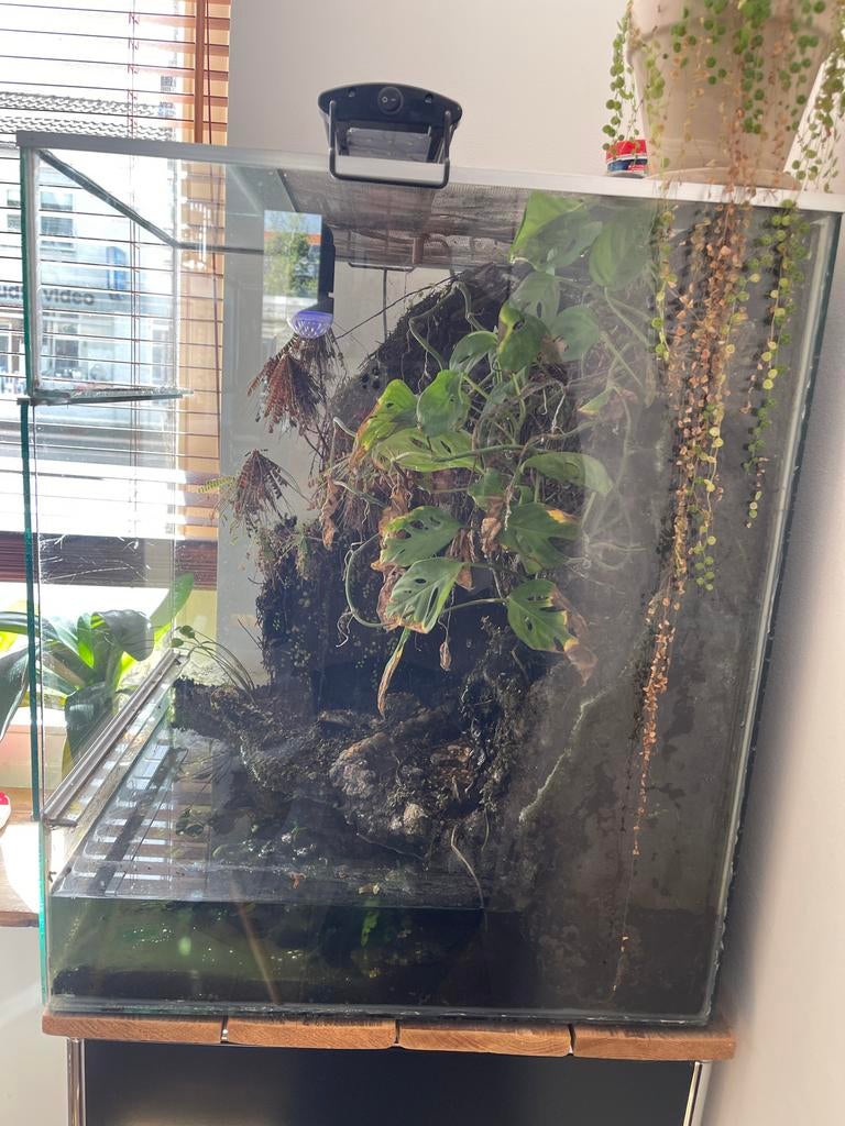 Paludarium, Ophalen, Leeg aquarium