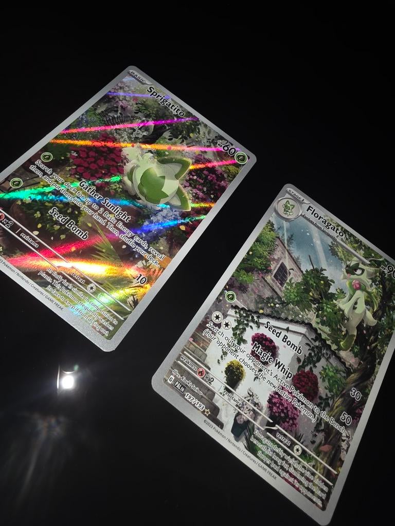 Pokémon - Sprigatito & Floragato, Ophalen of Verzenden, Zo goed als nieuw, Meerdere kaarten, Foil