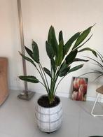 Grote mooie bloempot Merk PTMD Score, Tuin en Terras, Bloempotten, Rond, Balkon, Beton, 40 tot 70 cm