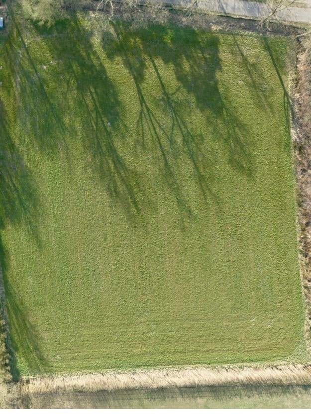 Weiland voor schapen, Weidegang