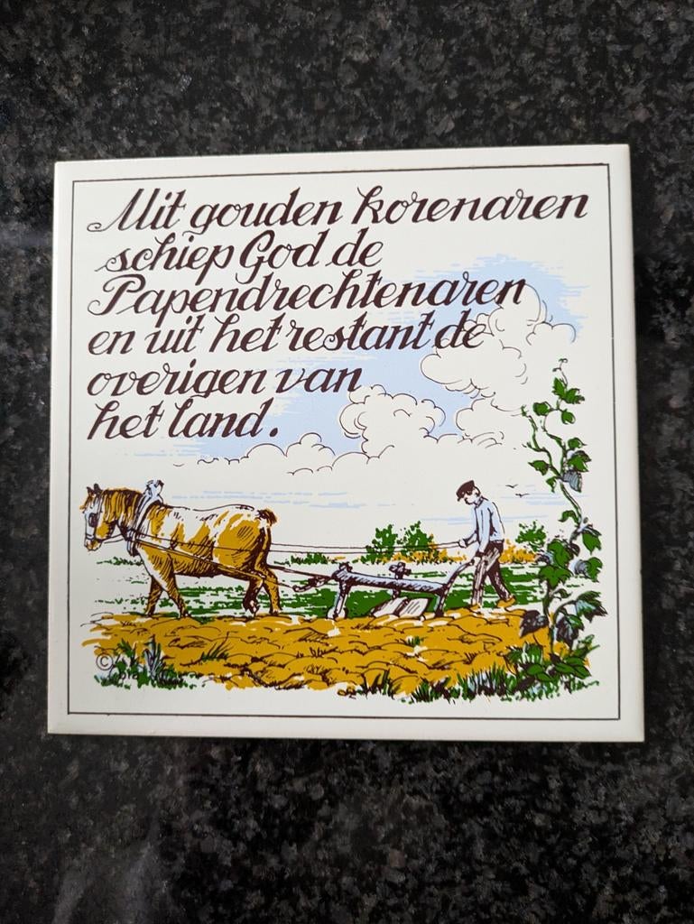 Wandtegel voor Papendrechtenaren, Ophalen of Verzenden