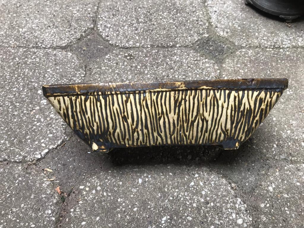 Vintage cactusbak berkenbast, Ophalen of Verzenden