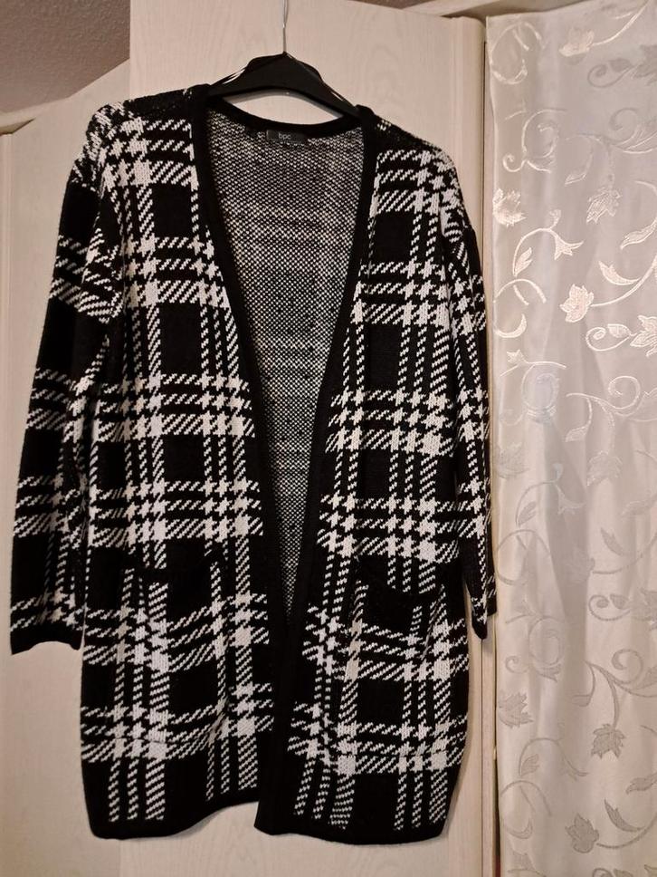 AANGEBODEN DIVERSE NIEUWE DAMES VESTEN EN TRUIEN MAAT XL., Kleding | Dames, Truien en Vesten, Nieuw, Overige kleuren, Ophalen of Verzenden