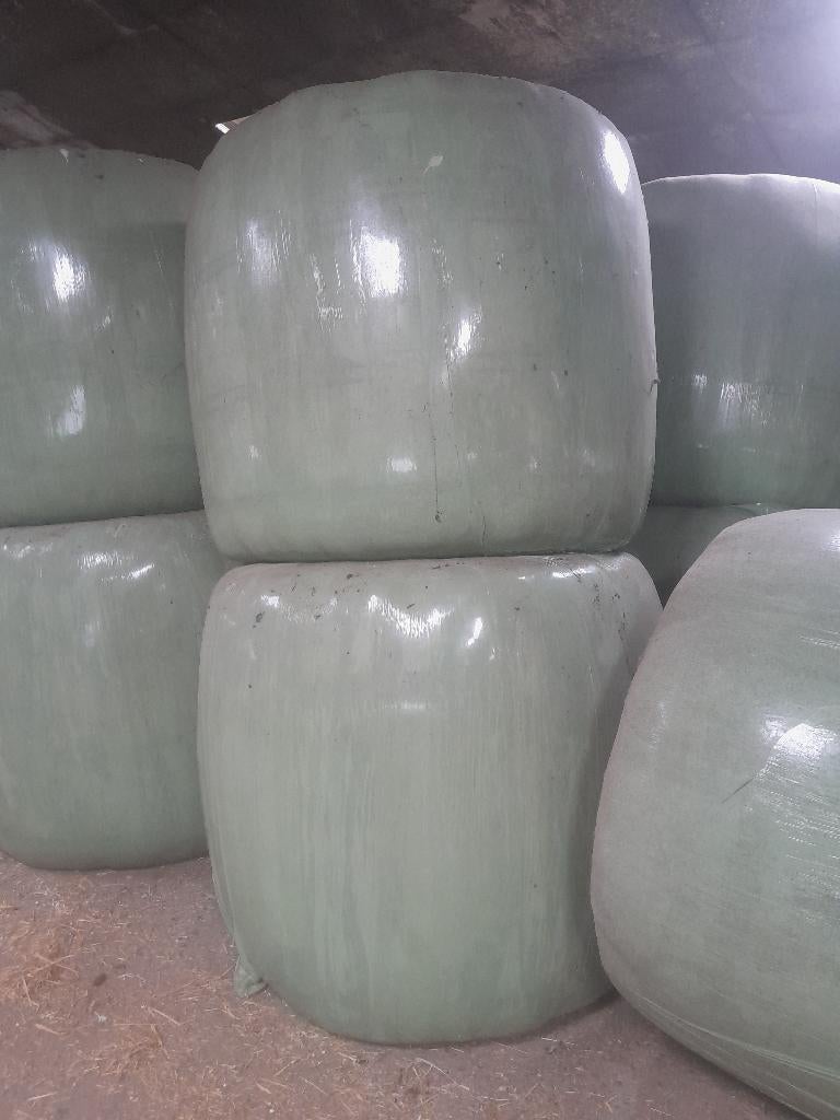 Grote balen, Dieren en Toebehoren, Dierenvoeding, Ophalen, Vee