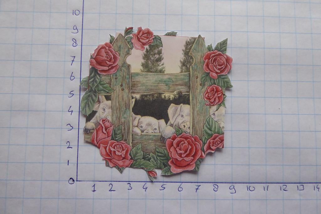 nr. 1599 - uitgeknipt 3d plaatje, Ophalen of Verzenden, Nieuw, Dieren, Knipvel