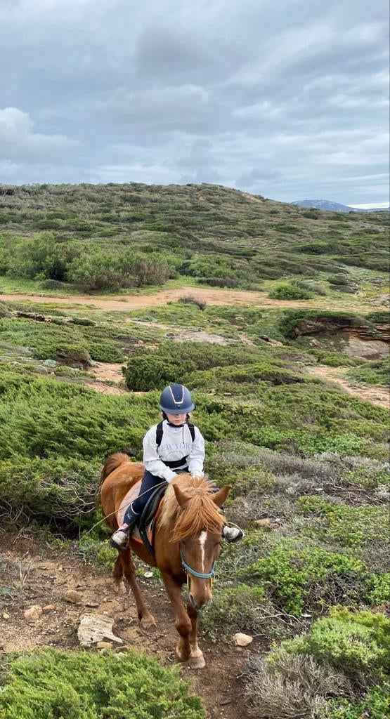 Verzorgpony gezocht, Dieren en Toebehoren, Ophalen of Verzenden