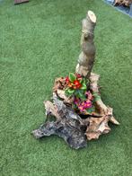 Prachtig stronk, Ophalen of Verzenden, Zo goed als nieuw, Rond, Hout